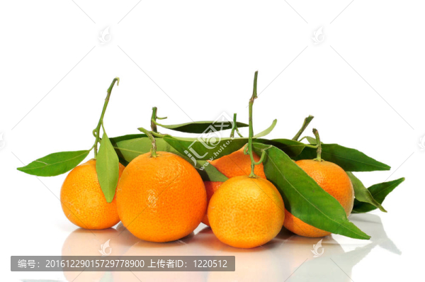 橘子