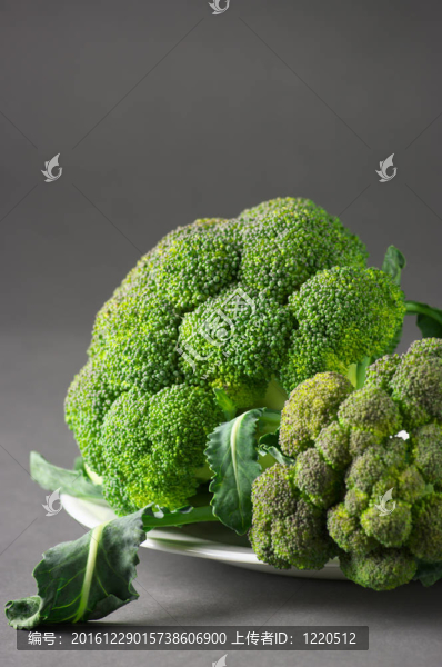 西蘭花對板