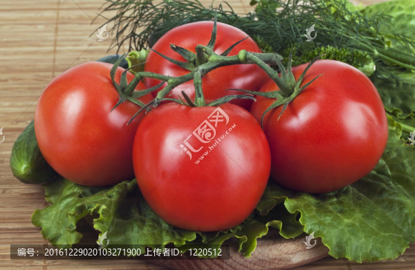 新鮮蔬菜