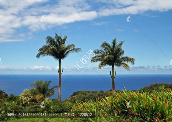 毛伊島