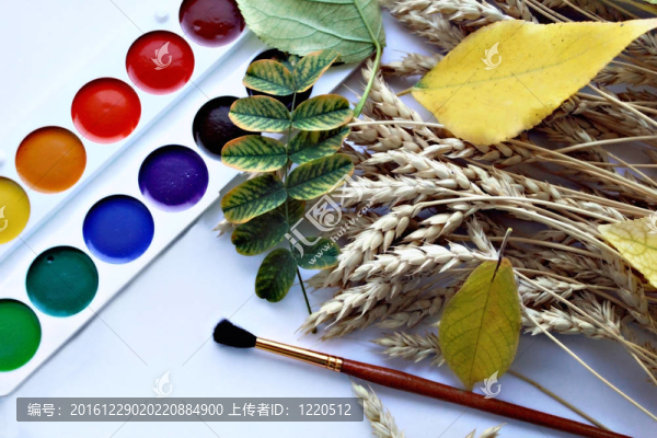 背景顏色