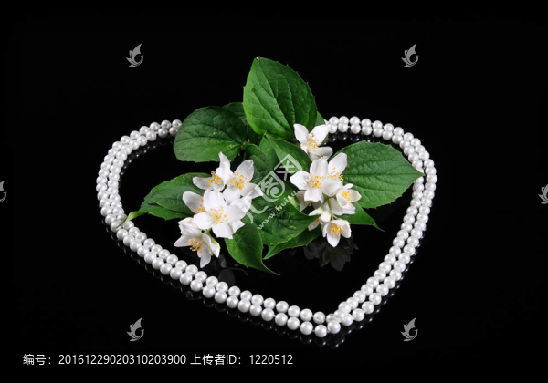 美麗的Fresh,Jasmine,Flower與黑色的反思與珀爾的心