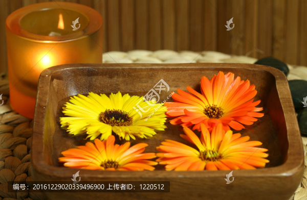 溫泉花