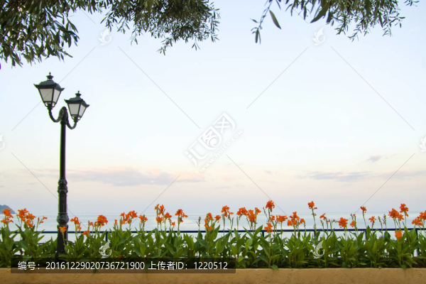 景觀燈；海；花和草