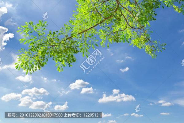 綠色的離開藍(lán)天
