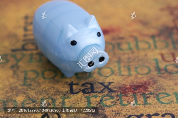稅收與儲蓄銀行概念