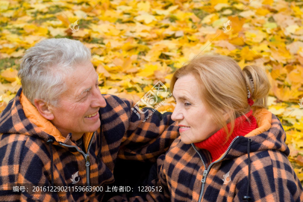 可愛的情侶在公園