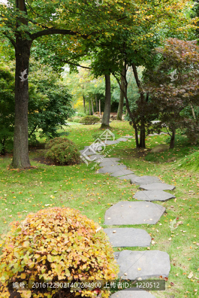 秋天公園的石頭之路