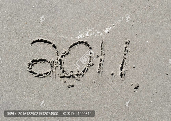 2011在沙灘上