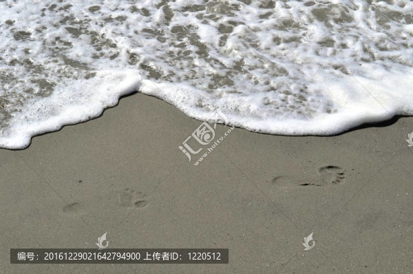 沙灘上的腳步聲