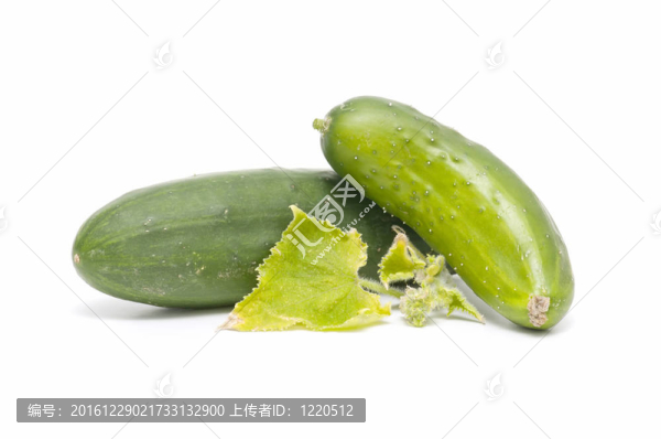 生態(tài)黃瓜