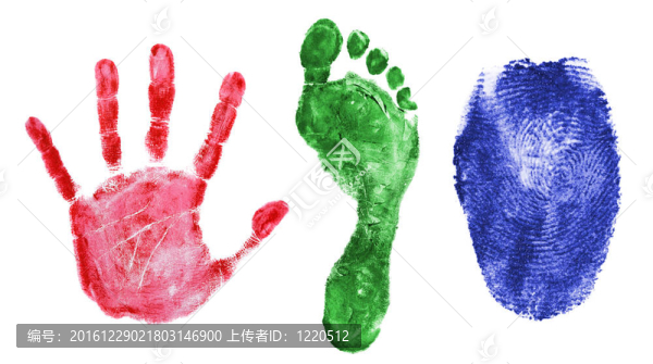 打印出的手；手指和腳