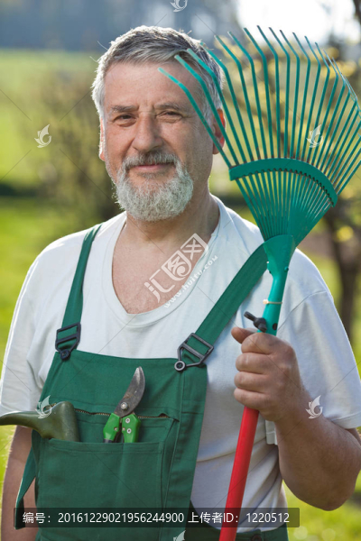 一位園藝高級男子在花園里的畫像