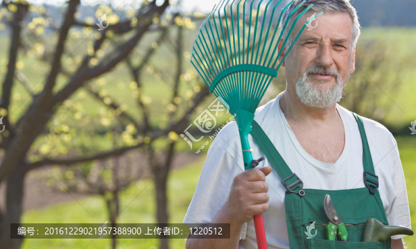 一位園藝高級(jí)男子在花園里的畫像