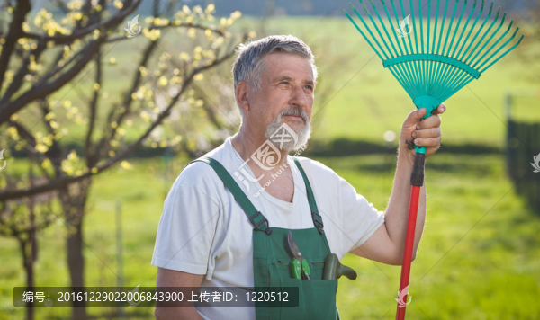 一位園藝高級男子在花園里的畫像