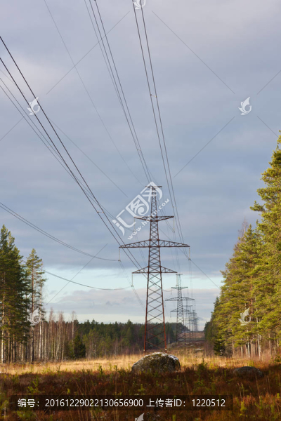 電力主