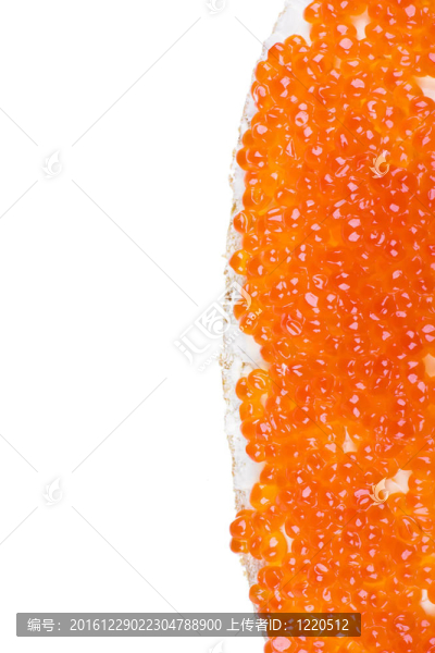 與紅魚子醬三明治孤立在白色背景