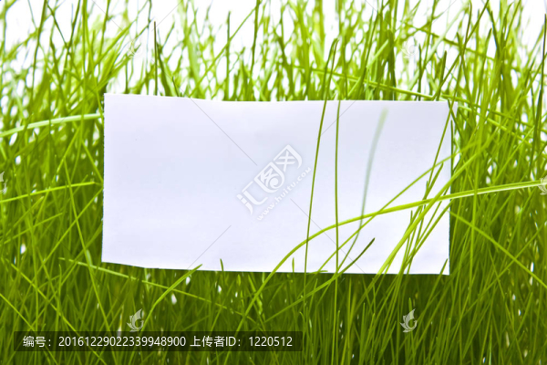 背景草上的干凈床單