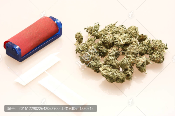 醫(yī)用大麻小樁