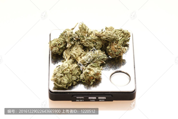 醫(yī)用大麻