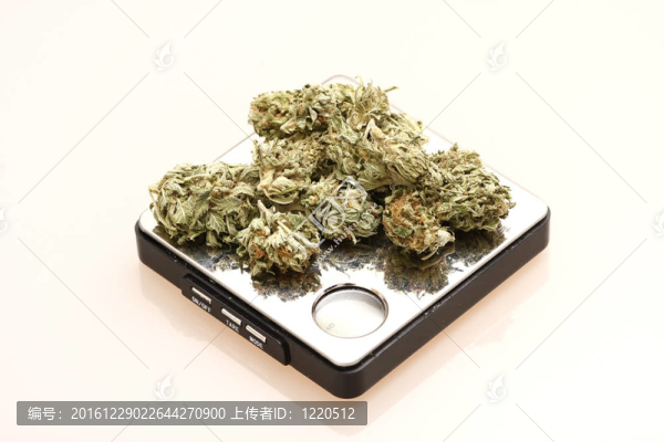 醫(yī)用大麻