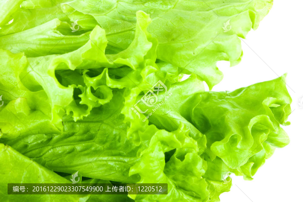 沙拉