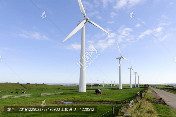 約克郡風(fēng)電場