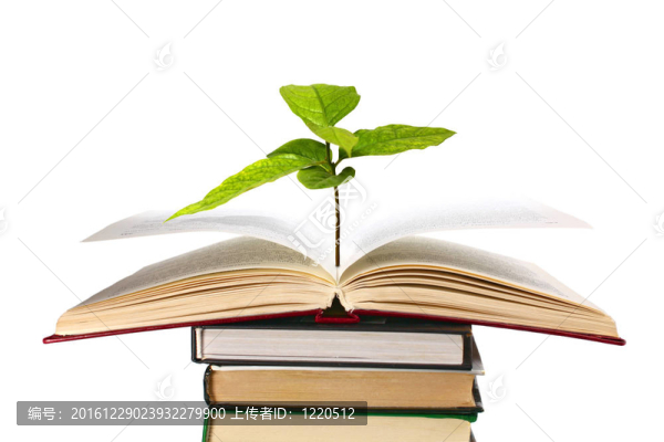 書籍和植物