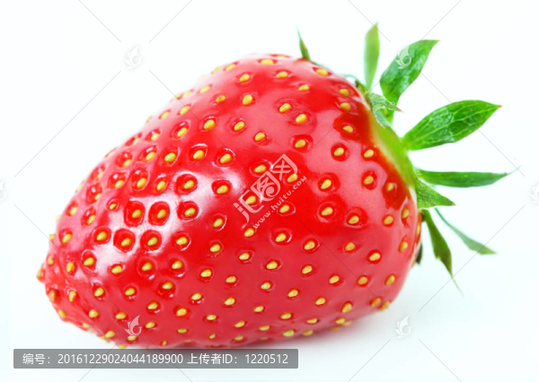 草莓