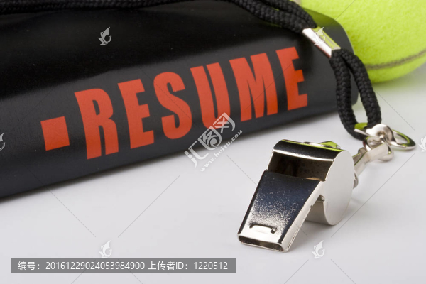 網(wǎng)球的簡(jiǎn)歷