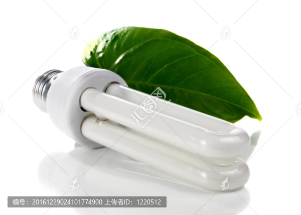 燈泡和綠色的葉