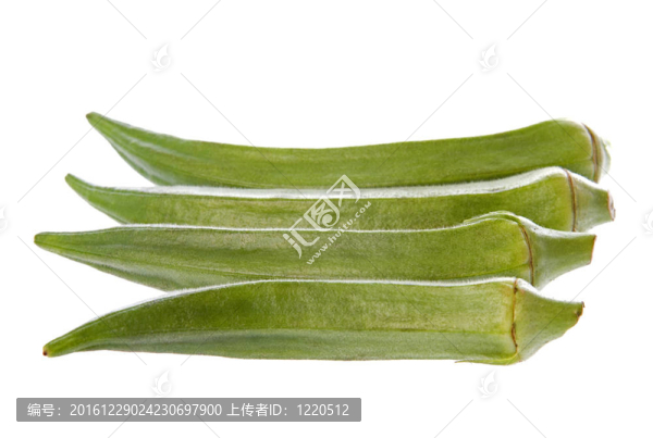 淑女的手指