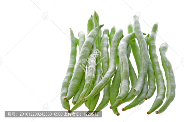 法國豆分離