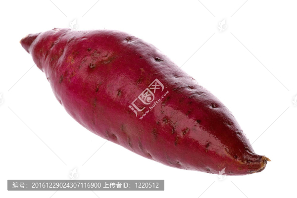 日本紅薯