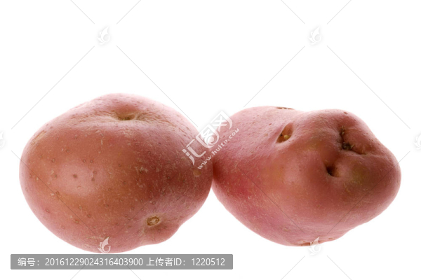粉紅色的土豆分離