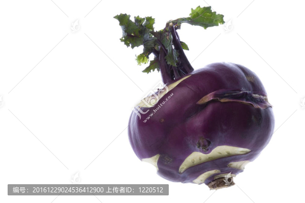 紫色的Kohlrabi分離