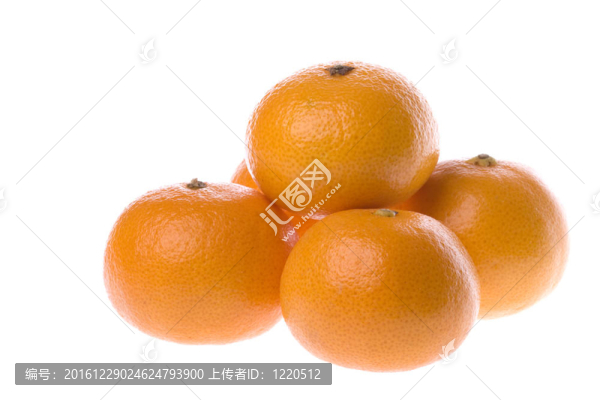 柑橘中分離