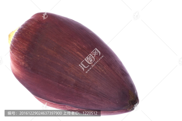 食用香蕉花