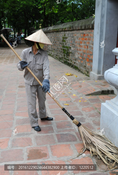 清道夫；越南