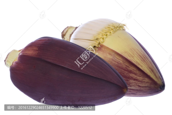 食用香蕉花