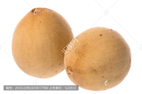 浪沙果實(shí)中分離