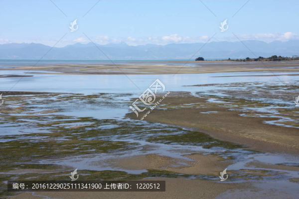 濕地
