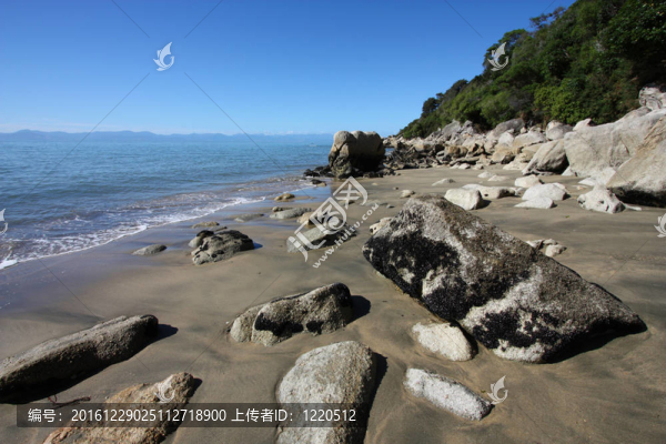 新西蘭海灘