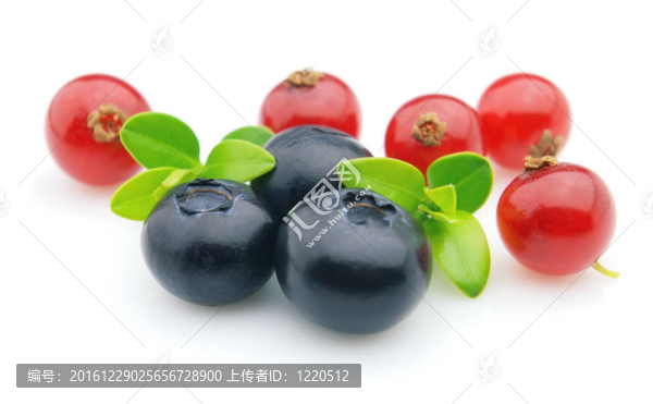 紅醋栗藍莓