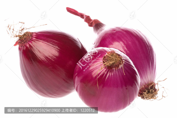 紅洋蔥分離