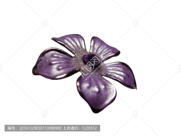 紫色的花