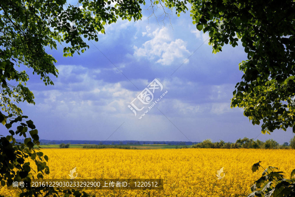 landscape_frame