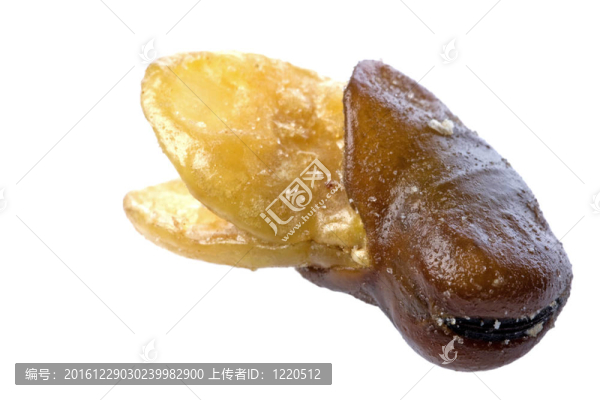 自然派蠶豆酥