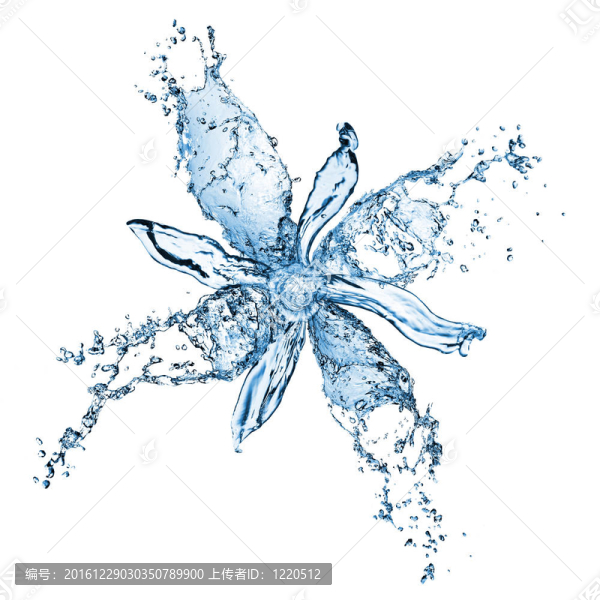 從水濺孤立在白色花