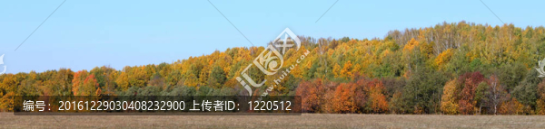 秋天
